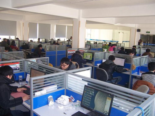 國子軟件官網(wǎng) 專業(yè)信息系統(tǒng)集成服務(wù)，助力企業(yè)數(shù)字化升級